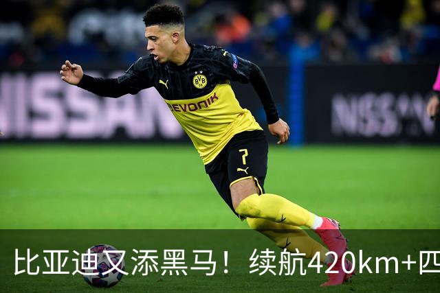 比亚迪又添黑马！续航420km+四轮独悬，还带激光雷达，6.59万起！